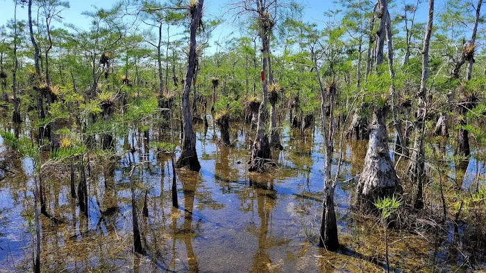 Ivy Campground Picture 1