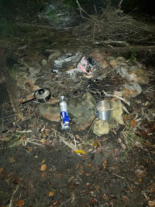 Ivy Campground Picture 6