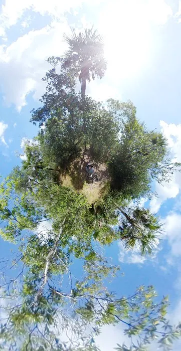 Ivy Campground Picture 8