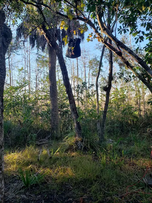 Ivy Campground Picture 5