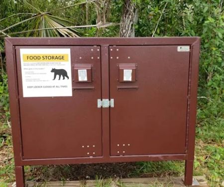 Gator Head Campground