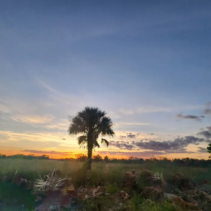 Bear Island Campground Picture 5