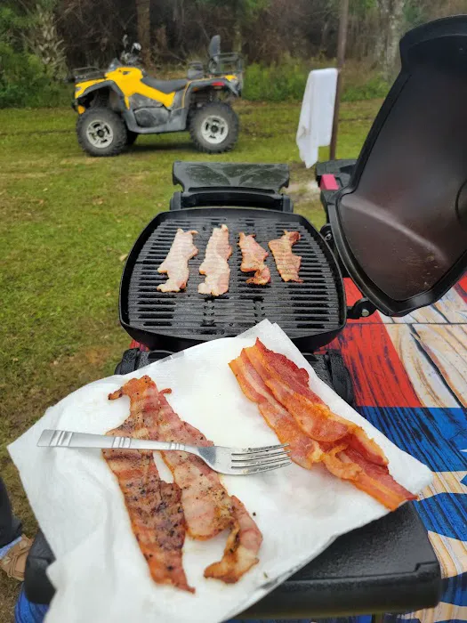 Bear Island Campground Picture 9