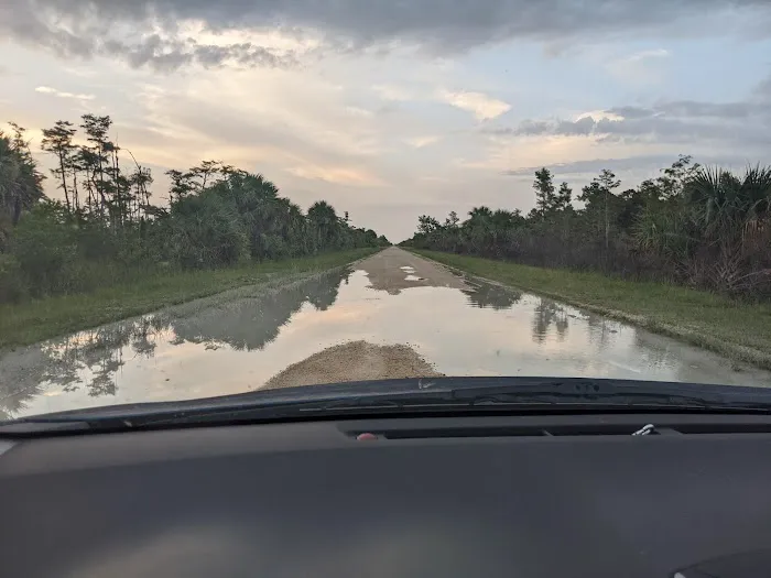 Bear Island Campground Picture 6