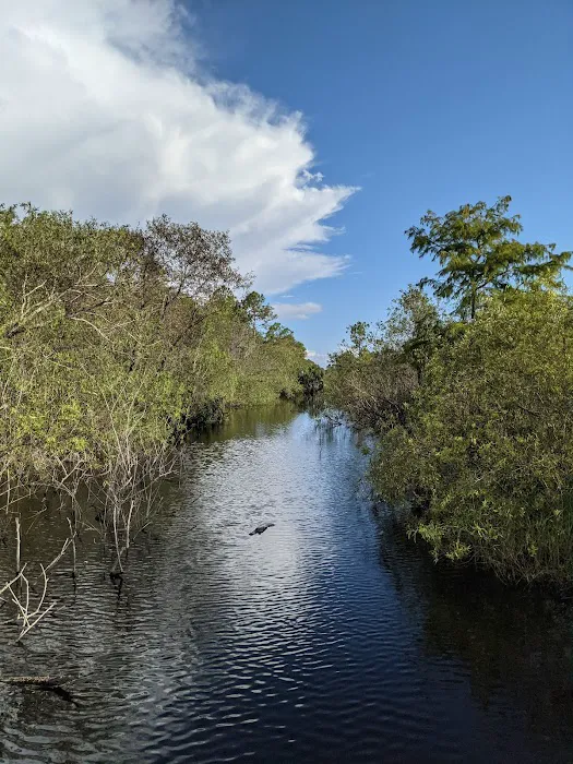 Bear Island Campground Picture 3