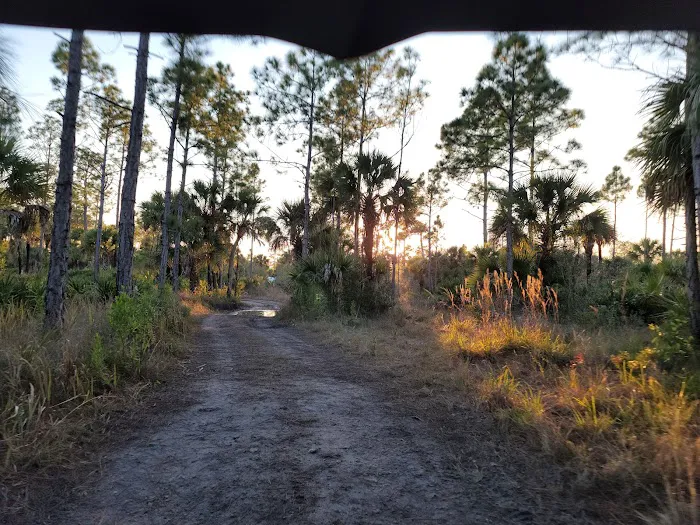 Bear Island Campground Picture 8