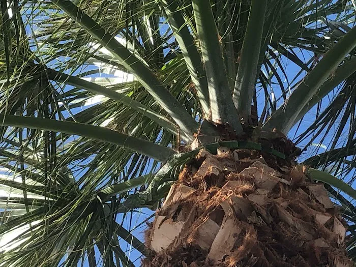 Sunshine Holiday MHCC RV and Camping Resort Picture 2