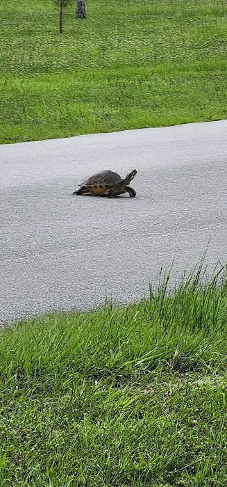Markham Park Campground Picture 2