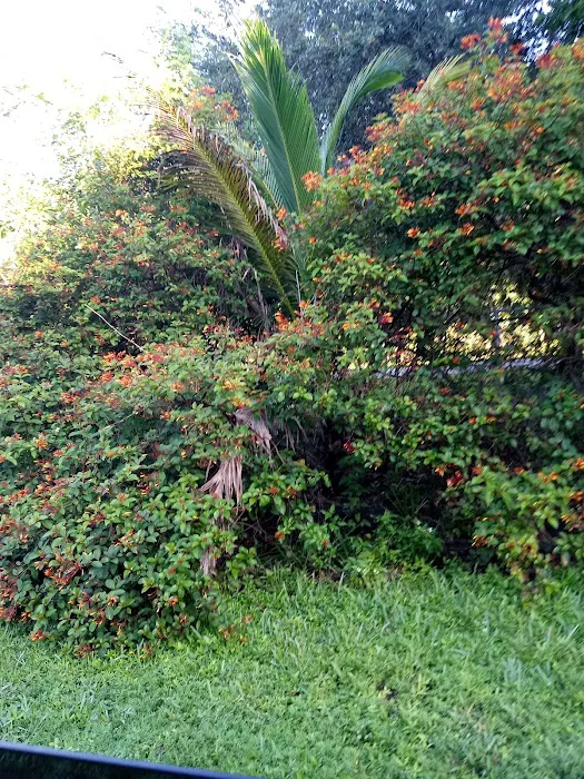 Markham Park Campground Picture 10