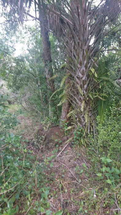 Pink Jeep Campground Picture 6