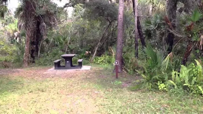 Pink Jeep Campground Picture 7