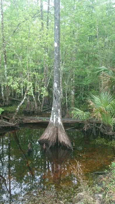 Pink Jeep Campground Picture 4