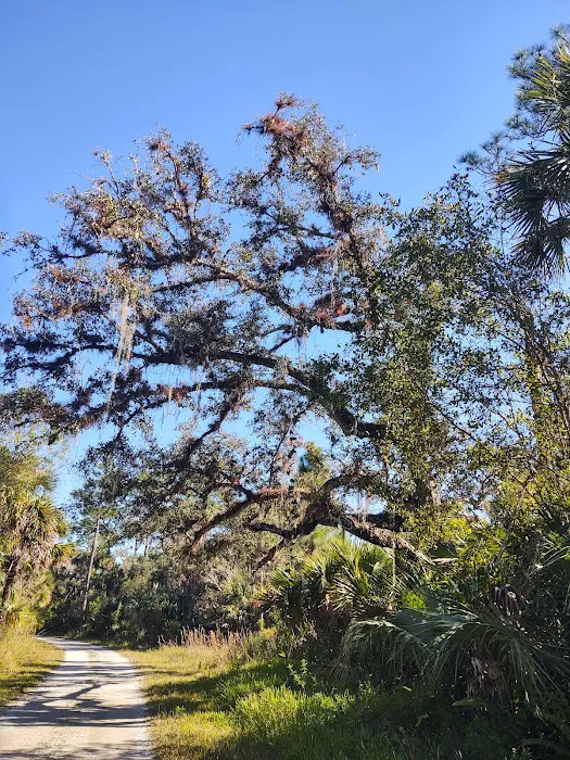 Forrest County RV Park Picture 4