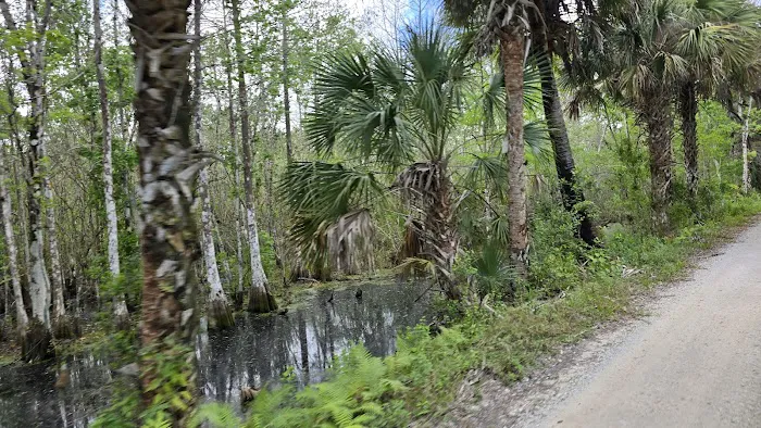 Forrest County RV Park Picture 5