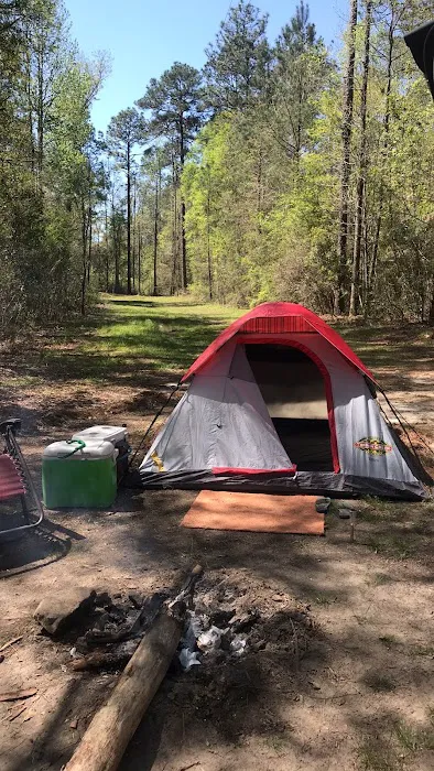 Paul B. Johnson Campground Picture 9