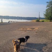 Paul B. Johnson Campground ico