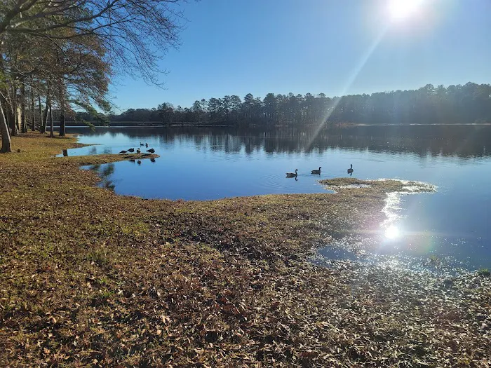 Little Black Creek Campground and Park Picture 9