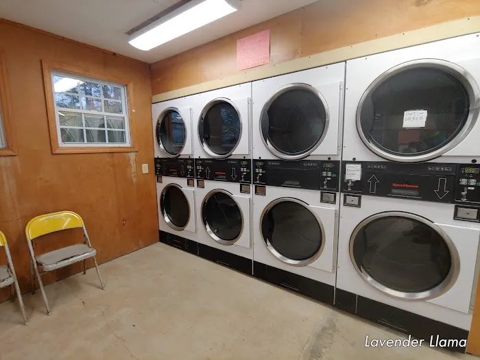 Sunrise RV Park & Campground Picture 3