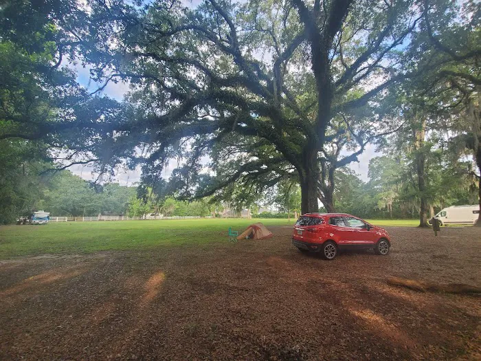 WMA Pearl River WMA Camp Grounds Picture 3