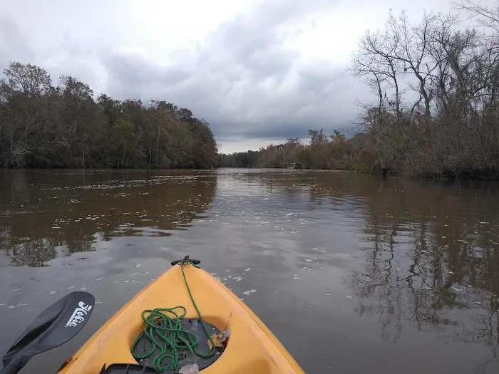 WMA Pearl River WMA Camp Grounds Picture 9