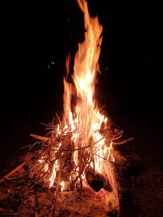 WMA Pearl River WMA Camp Grounds Picture 4