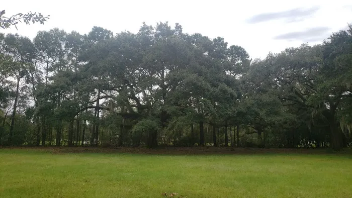 WMA Pearl River WMA Camp Grounds Picture 6