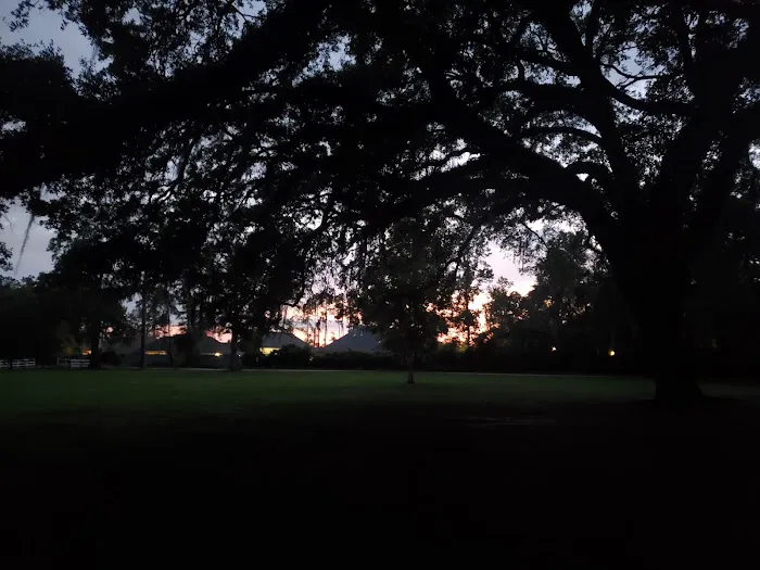 WMA Pearl River WMA Camp Grounds Picture 2