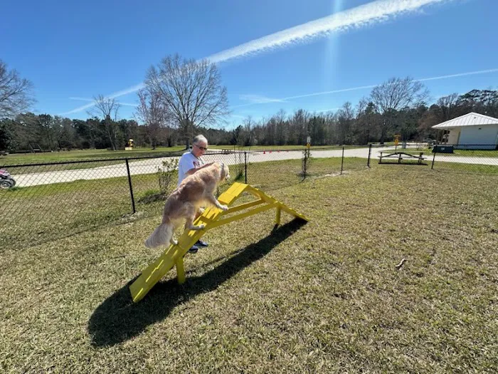 Slidell KOA Journey Picture 10