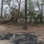 Company of St. Sebastian