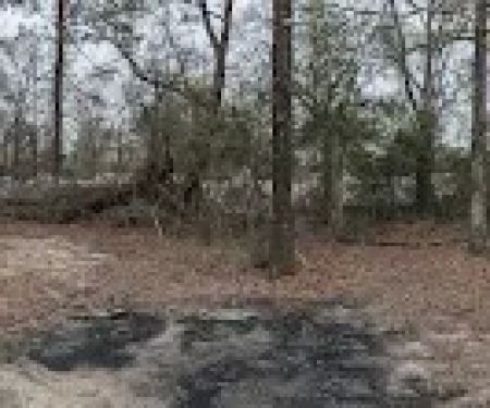 Company of St. Sebastian