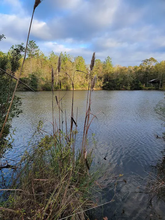 Retreat cabins Picture 7