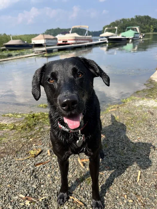 Fishtrap Camping and RV Resort Picture 7