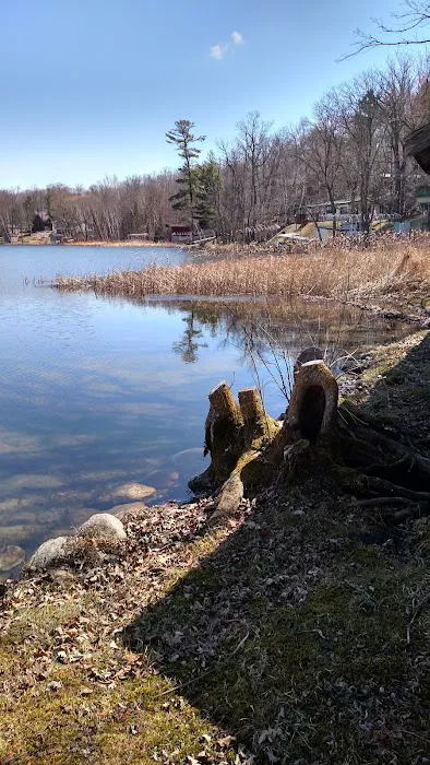 Fishtrap Camping and RV Resort Picture 5