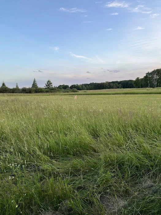 God’s Country Camping Picture 4