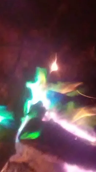 Uncle Bernies Campground Picture 9