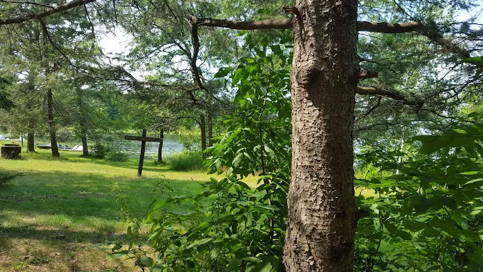 Greer lake Campground Picture 8