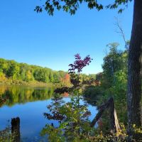 Walter E. Stark Assembly Area and Horse Campground ico