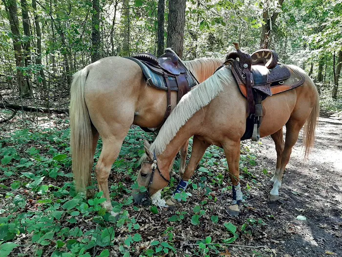 Walter E. Stark Assembly Area and Horse Campground Picture 3