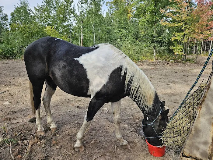 Walter E. Stark Assembly Area and Horse Campground Picture 6