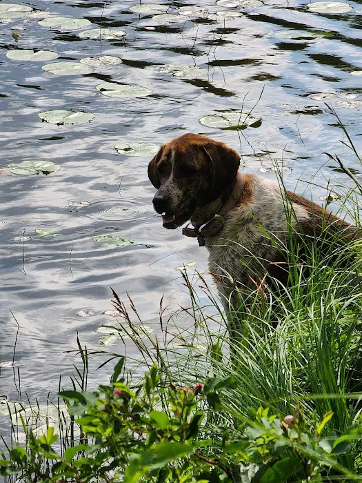 Walter E. Stark Assembly Area and Horse Campground Picture 5