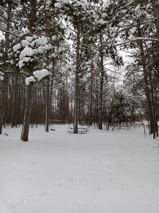 Rock Lake Campground Picture 8