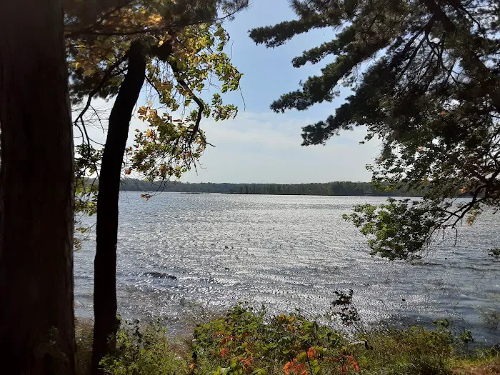 Rock Lake Campground Picture 7