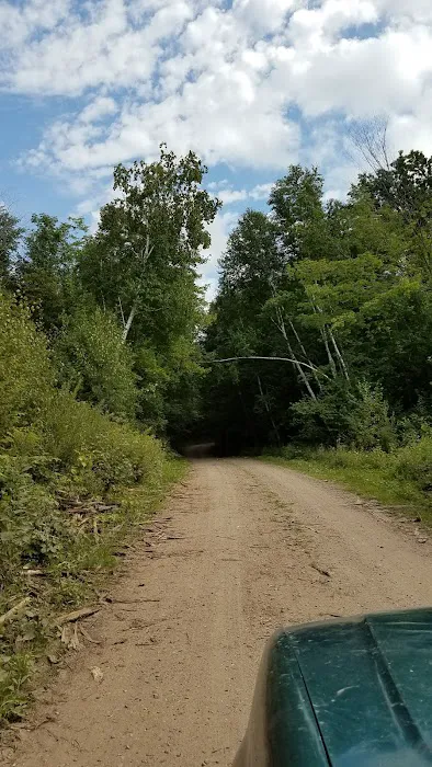 Rock Lake Campground Picture 10