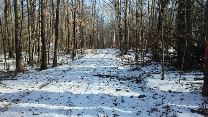 Wojo's Retreat Picture 4