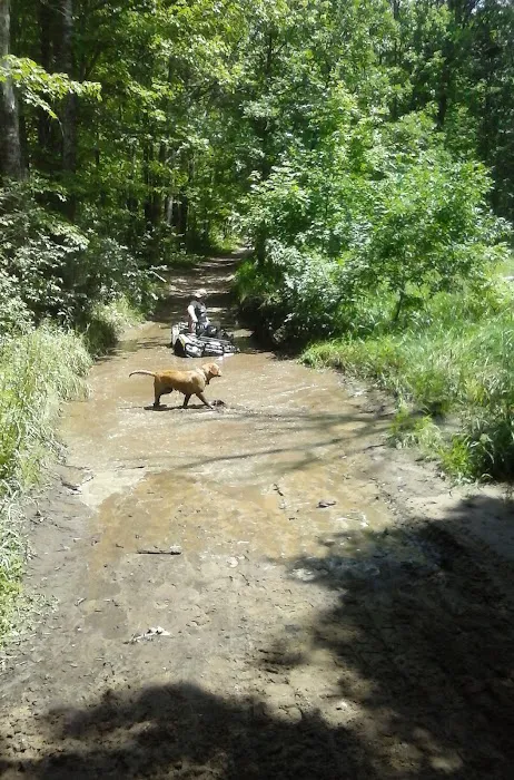 All Pine Inn Resort Picture 10