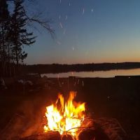 All Pine Inn Resort ico