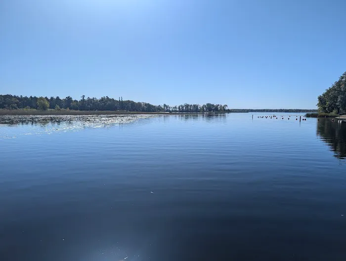 Sandy Lake Recreation Area Campground Picture 3