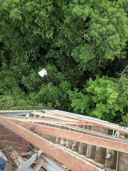 Sandy Lake Dnr Forestry Department Picture 10