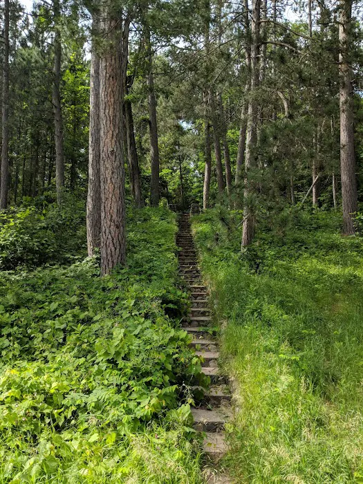 Sandy Lake Dnr Forestry Department Picture 9