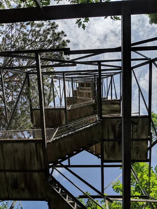 Sandy Lake Dnr Forestry Department Picture 7